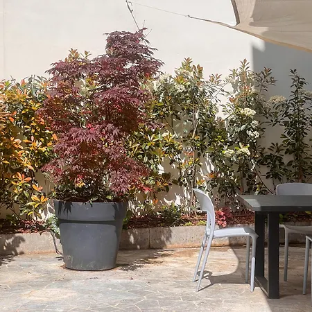 Apartment Casetta Celso *